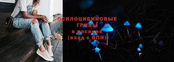 прущие крисы Покачи
