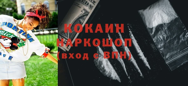 дмт Пересвет