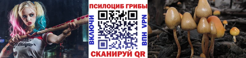 Псилоцибиновые грибы прущие грибы  где найти   Нижний Тагил 