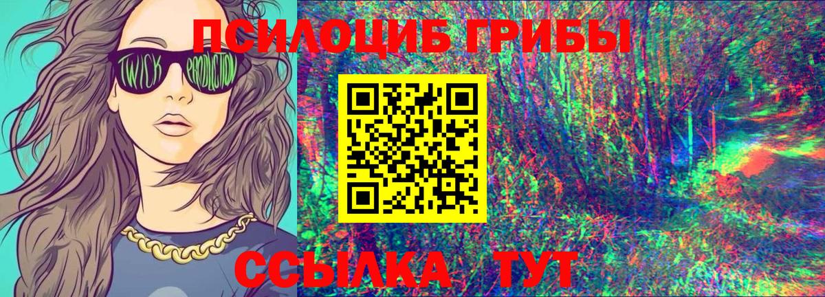 Псилоцибиновые грибы Psilocybine cubensis Нижний Тагил