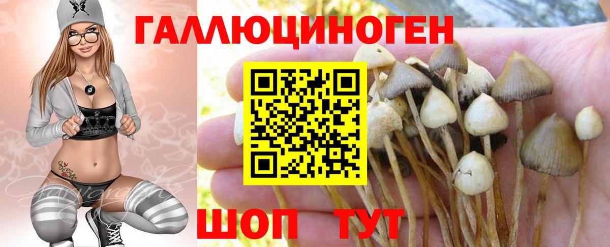 Галлюциногенные грибы Psilocybine cubensis  дарнет шоп  Нижний Тагил  Вход с VPN 